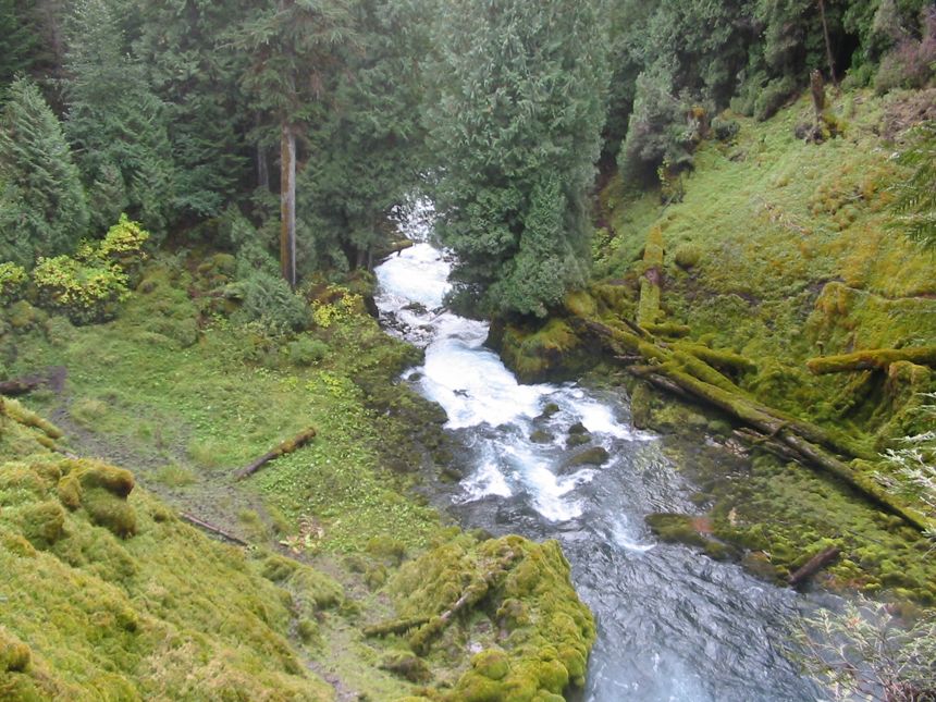 ...und fliesst weiter nach Springfield