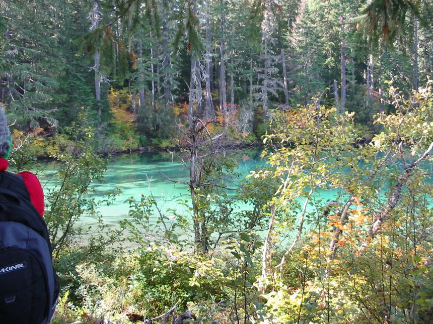wo der McKenzie ausm Clear Lake ausfliesst