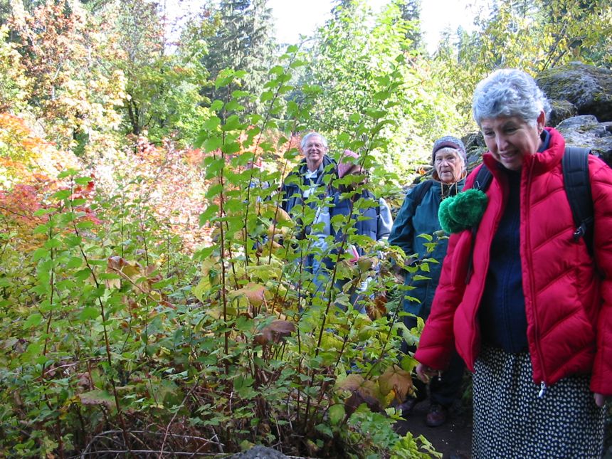 Es geht ernstlich los