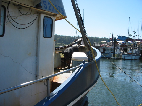 direkt vom Boot im Hafen von Florence