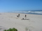 Das Große oder Stille Meer