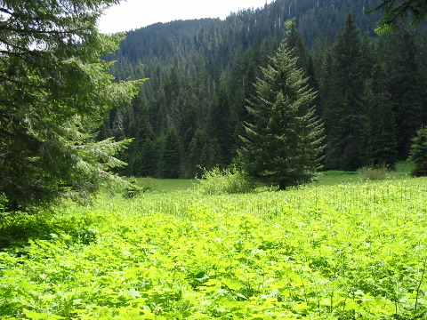 ...and past Tombstone Prairie...