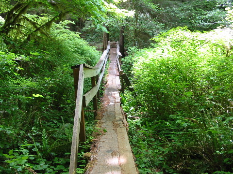 A sagging foot bridge