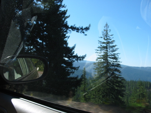  the road to Mckenzie Pass