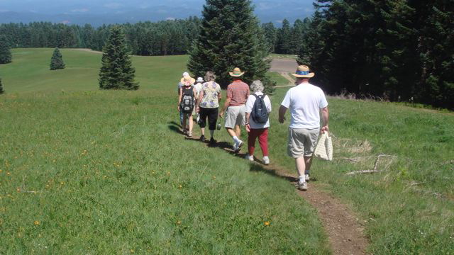 ...the meadow...
