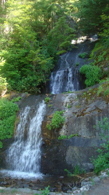 halfway down Marys Peak we stopped at