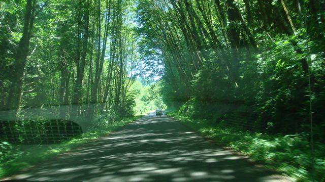 on the road to Alsea Falls