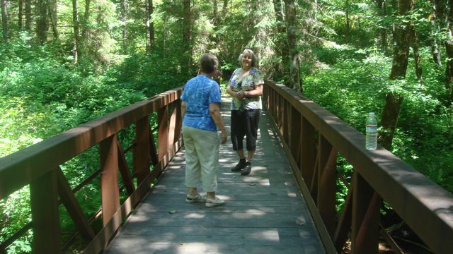 A bridge across...