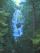 Ice at Proxy Falls