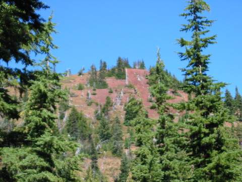 our goal: red Scott Mountain