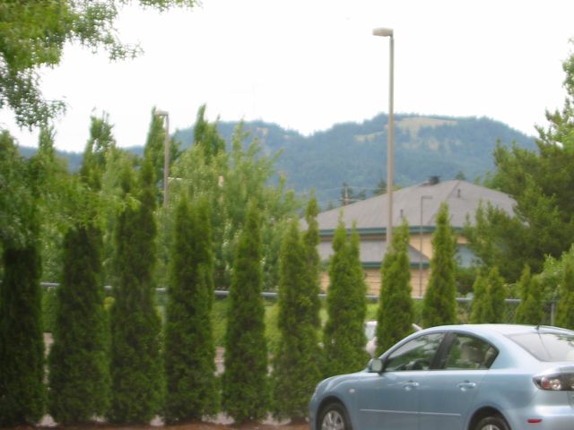 Blick auf die Coburg Hills