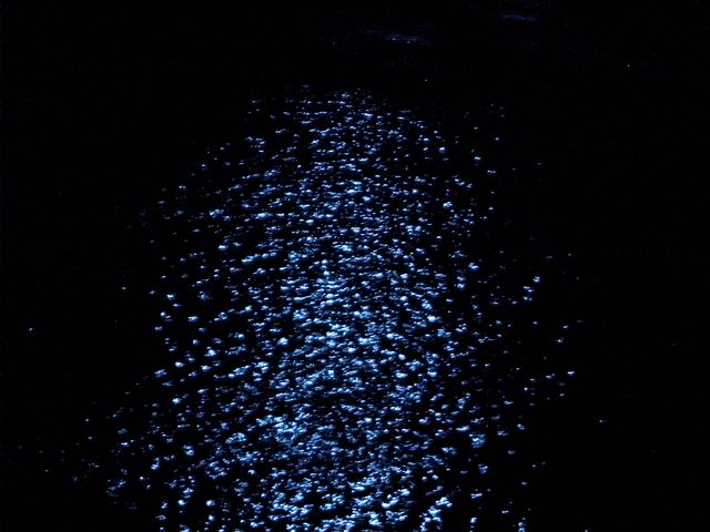 ...reflected in the water.