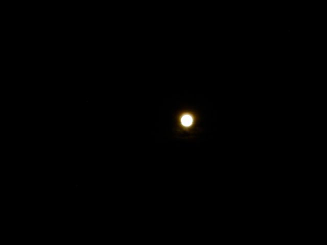 all dancing under the full moon