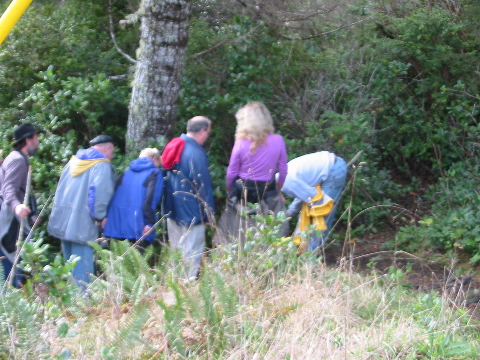 Hier gibt's Schwammerl!