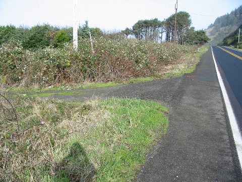 die steile Einfahrt ist...