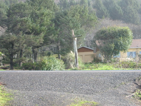 ...gegen&uuml;ber von diesem Pfahl