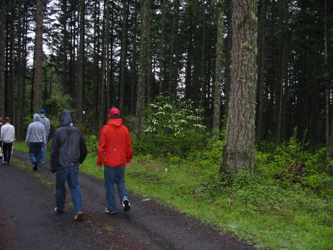 Spaziergang im Regen (Dogwood bl&uuml;ht im Hintergrund)