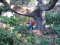 ein Kletterbaum
