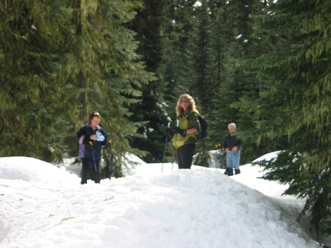 looking for a lunch spot