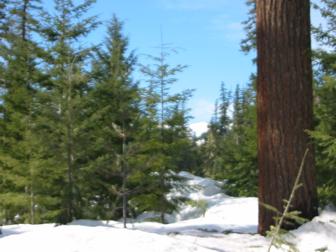 IMG_5677.JPG