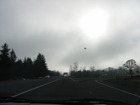 IMG_5644.JPG