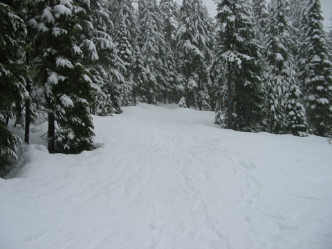 we have to go 1/2 mile uphill...