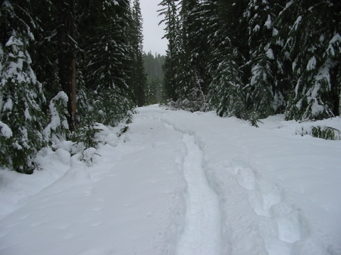 the Isaac Nickerson loop