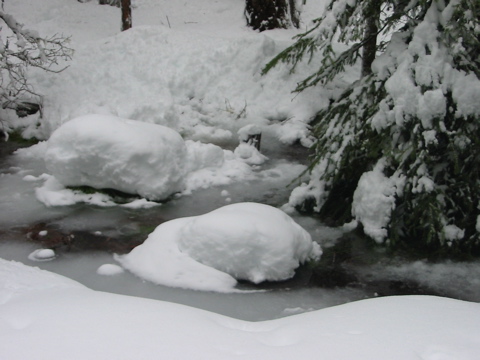 an almost frozen brook