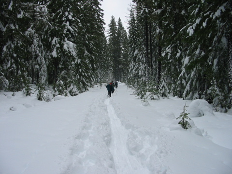 the others way behind...