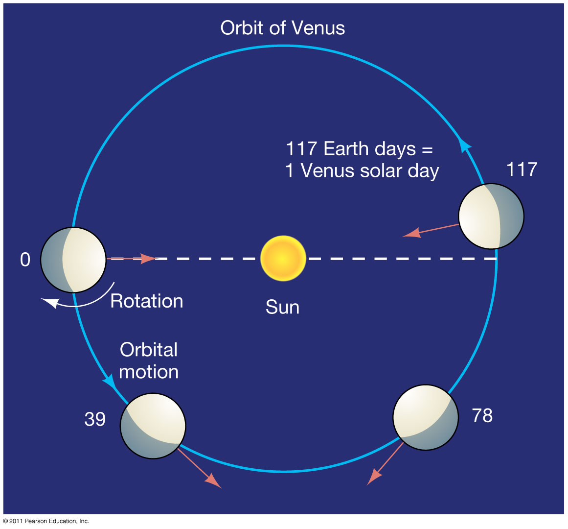 Орбита Венеры