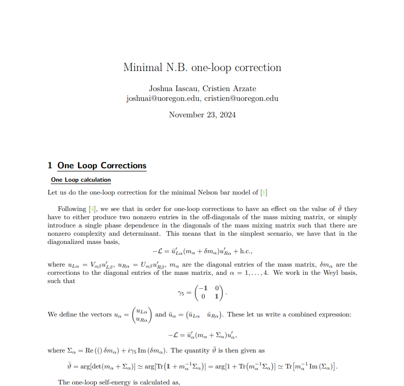 NB One-Loop Calculations Preview