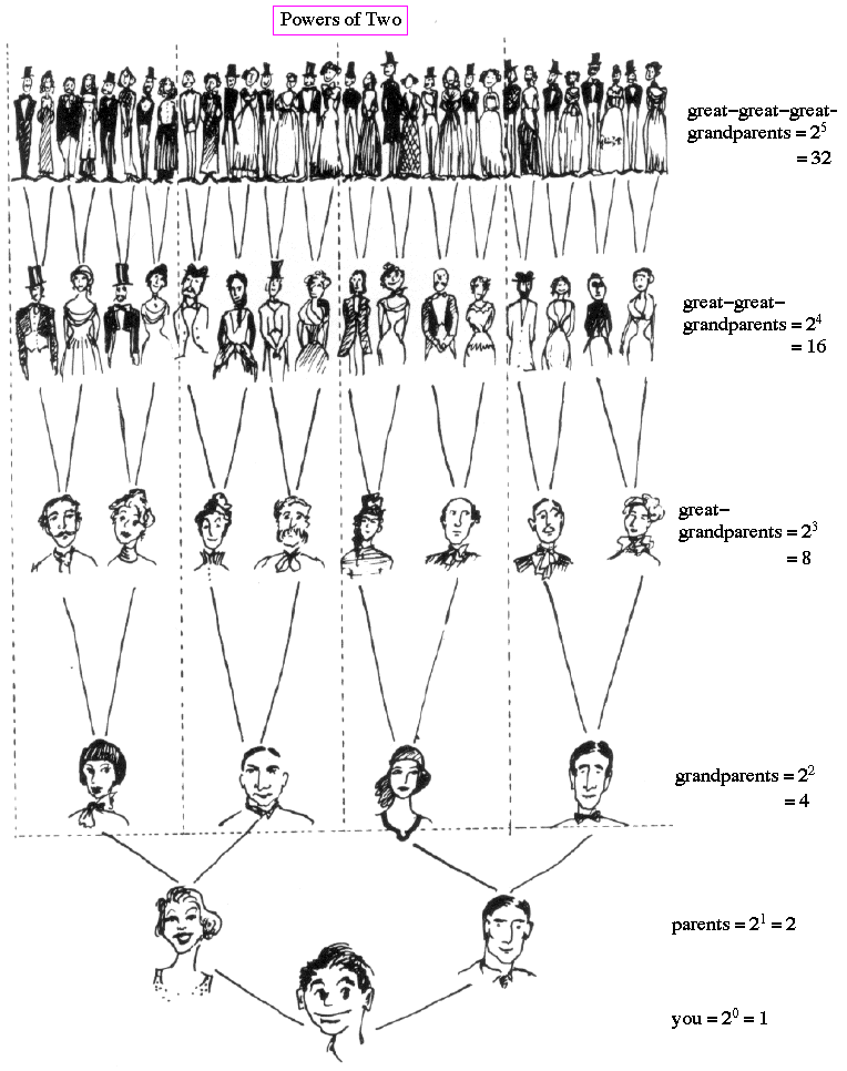 how-to-use-exponents