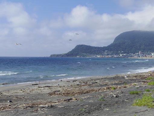 Cape Tachimachi The Lavenberg Collection Of Japanese Prints