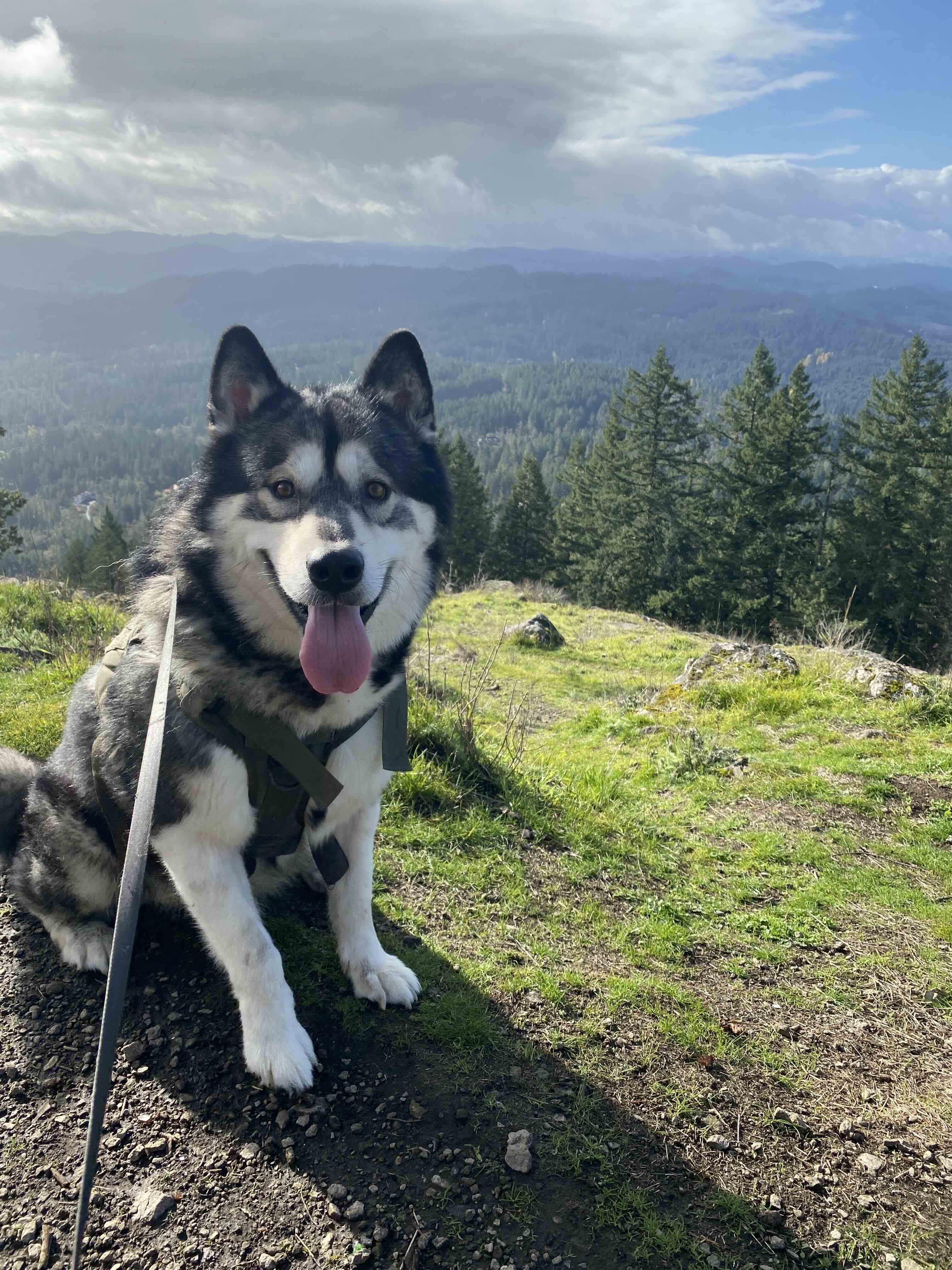 Malcolm on a hike at Spencer Butte