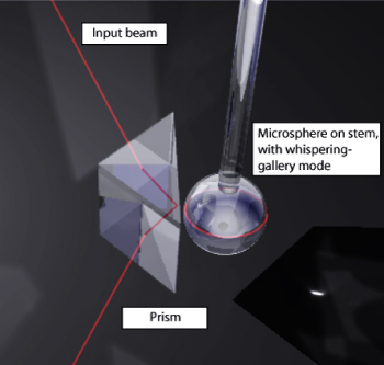 Sketch of experimental setup with prism close to microsphere