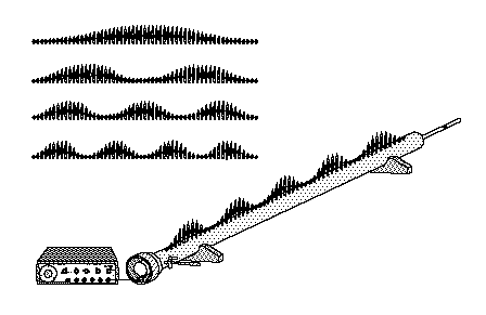 Standing Wave--Flame Tube