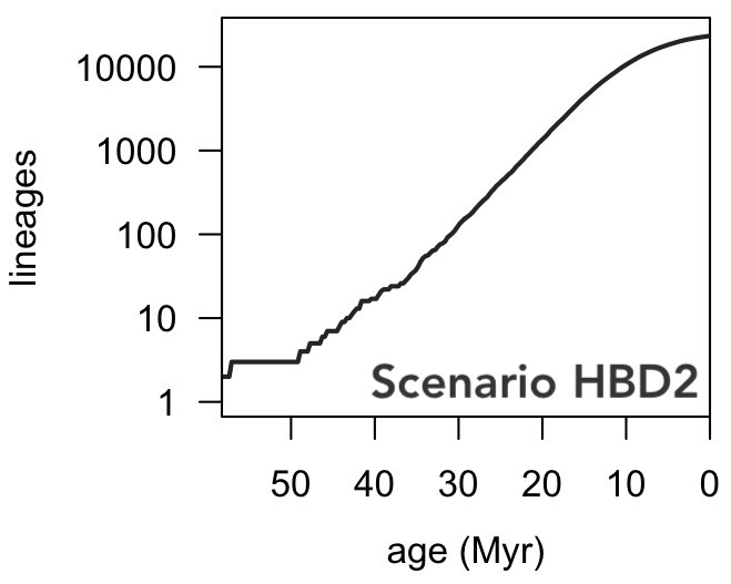 LTT of tree generated by diversification scenario HBD2.