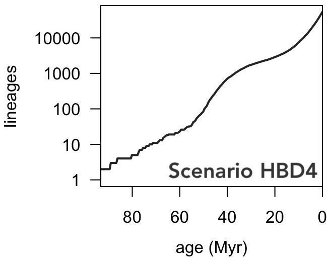 LTT of tree generated by diversification scenario HBD4.