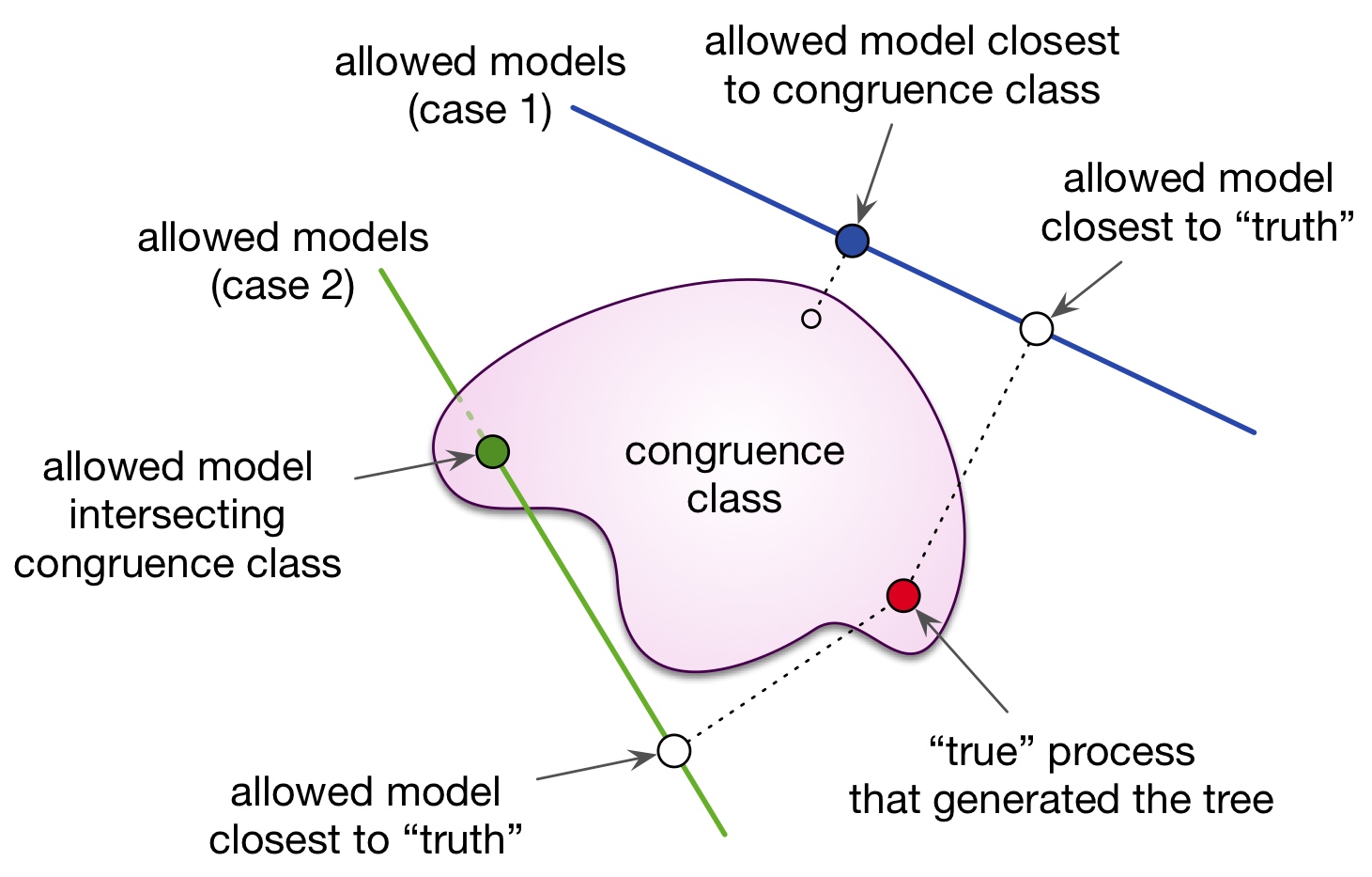 Conceptual illustration of model congruency and its implications for fitting diversification models.