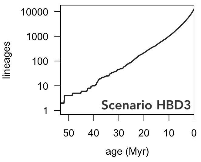LTT of tree generated by diversification scenario HBD3.