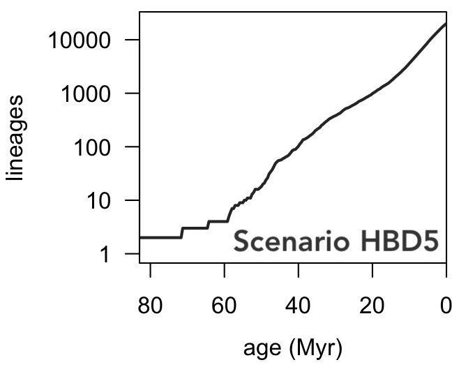 LTT of tree generated by diversification scenario HBD5.