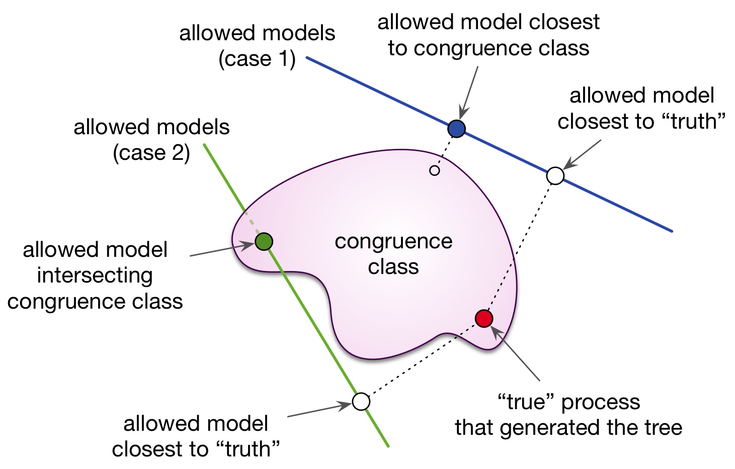 Conceptual illustration of model congruency and its implications for fitting diversification models.
