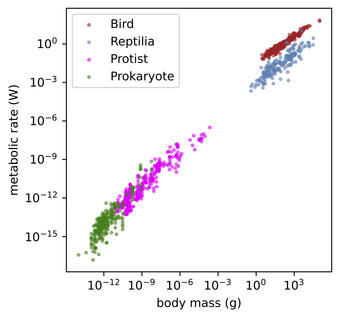 Basal metabolic rates vs. body masses for different species.