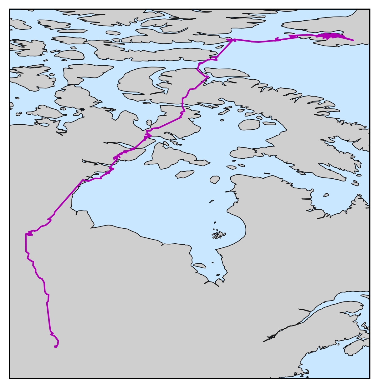 Migratory route of a peregrine falcon.