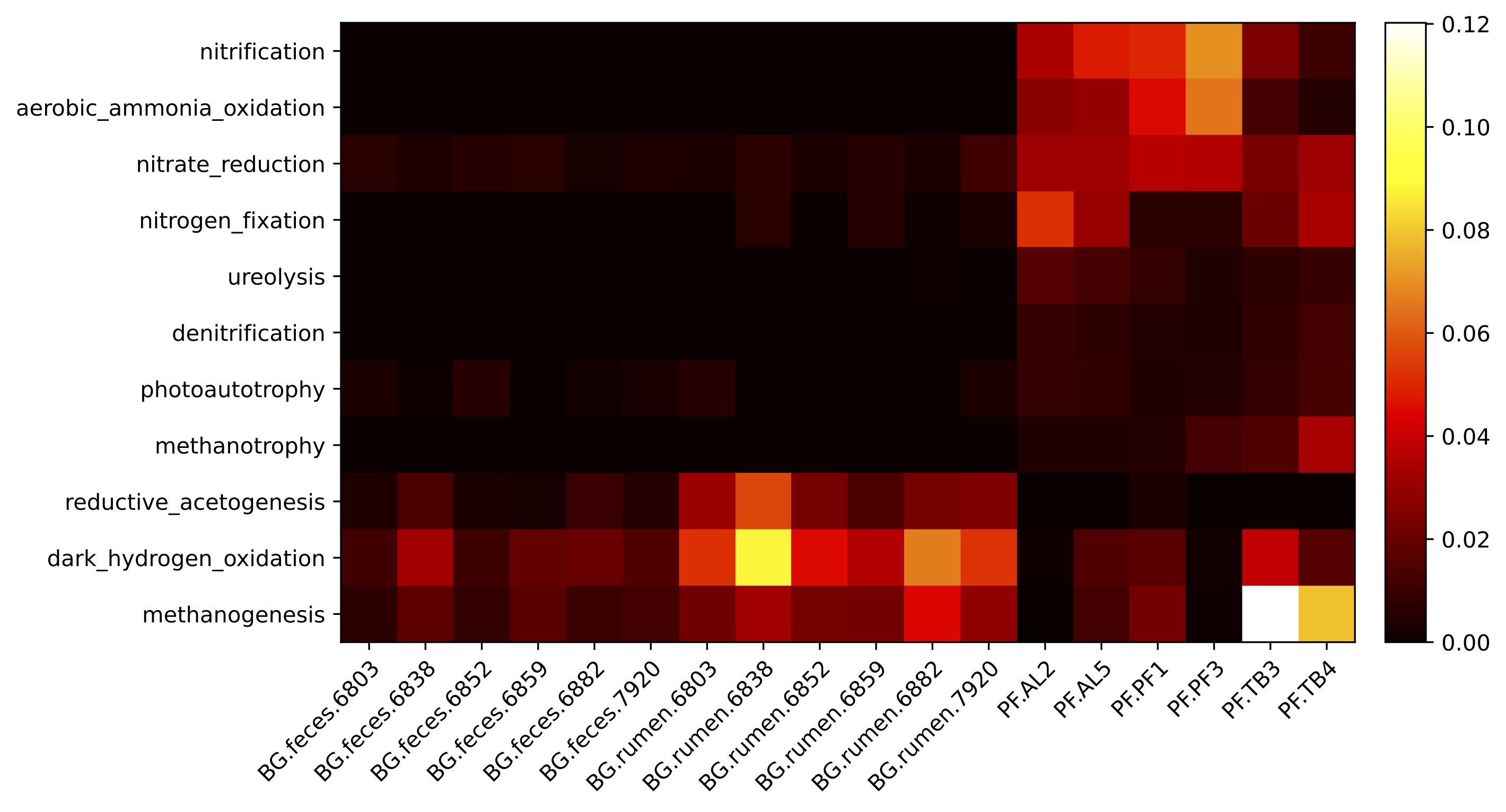 Relative abundances of microbial metabolic functions in different environmental samples.