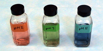 picture of three bottles of universal indicator solutions at differnt pHs