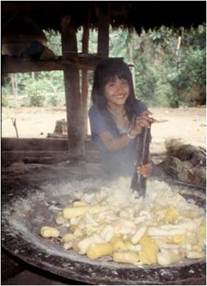 Making nihamanch (manioc beer). Photo: Sugiyama 1998.
