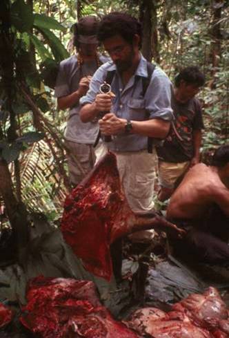 Weighing Tapir.  Photo: Mader 1998.
