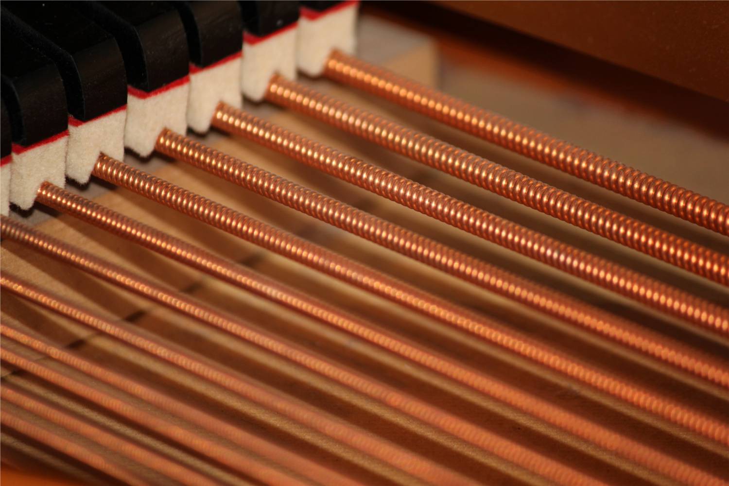 The dampers and lower strings of the same piano.