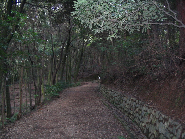 Uji path.JPG